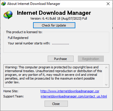 INTERNET DOWNLOAD MANAGER phiên bản 6.41